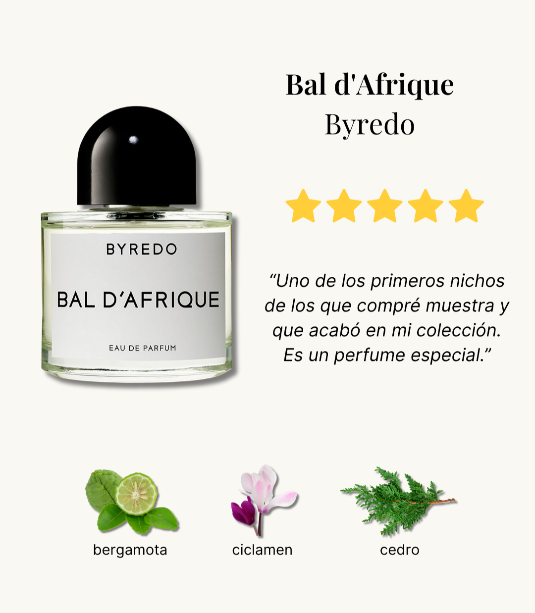 Bal d'Afrique