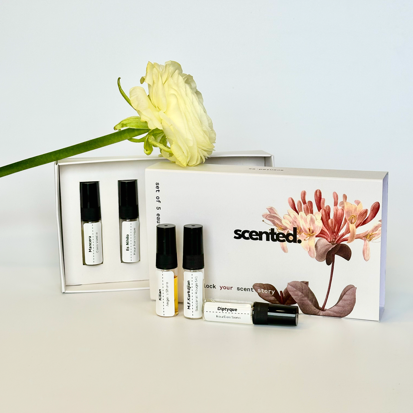 Conjunto de descubrimiento de primavera y verano