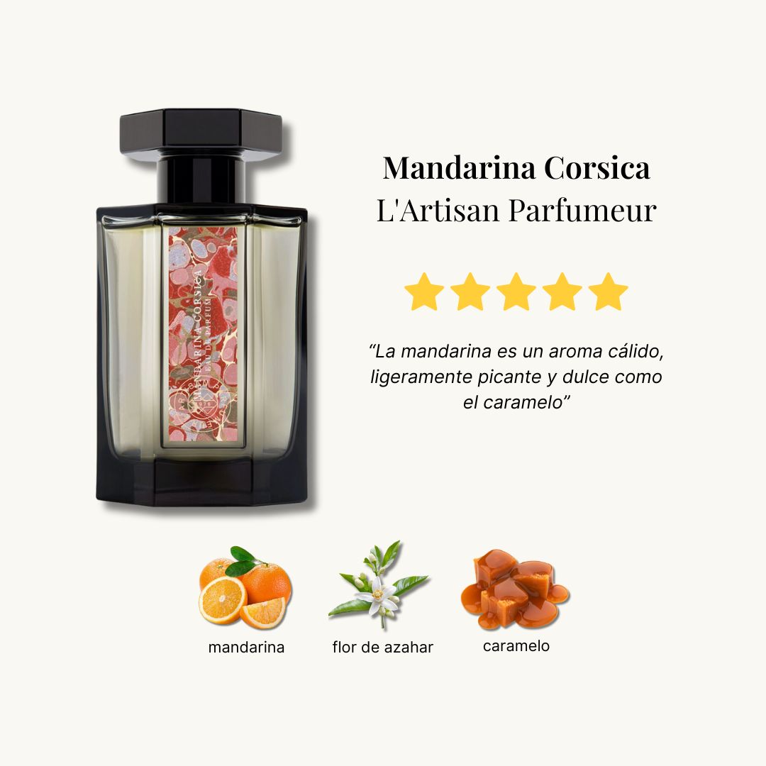 Set de descubrimiento de otoño