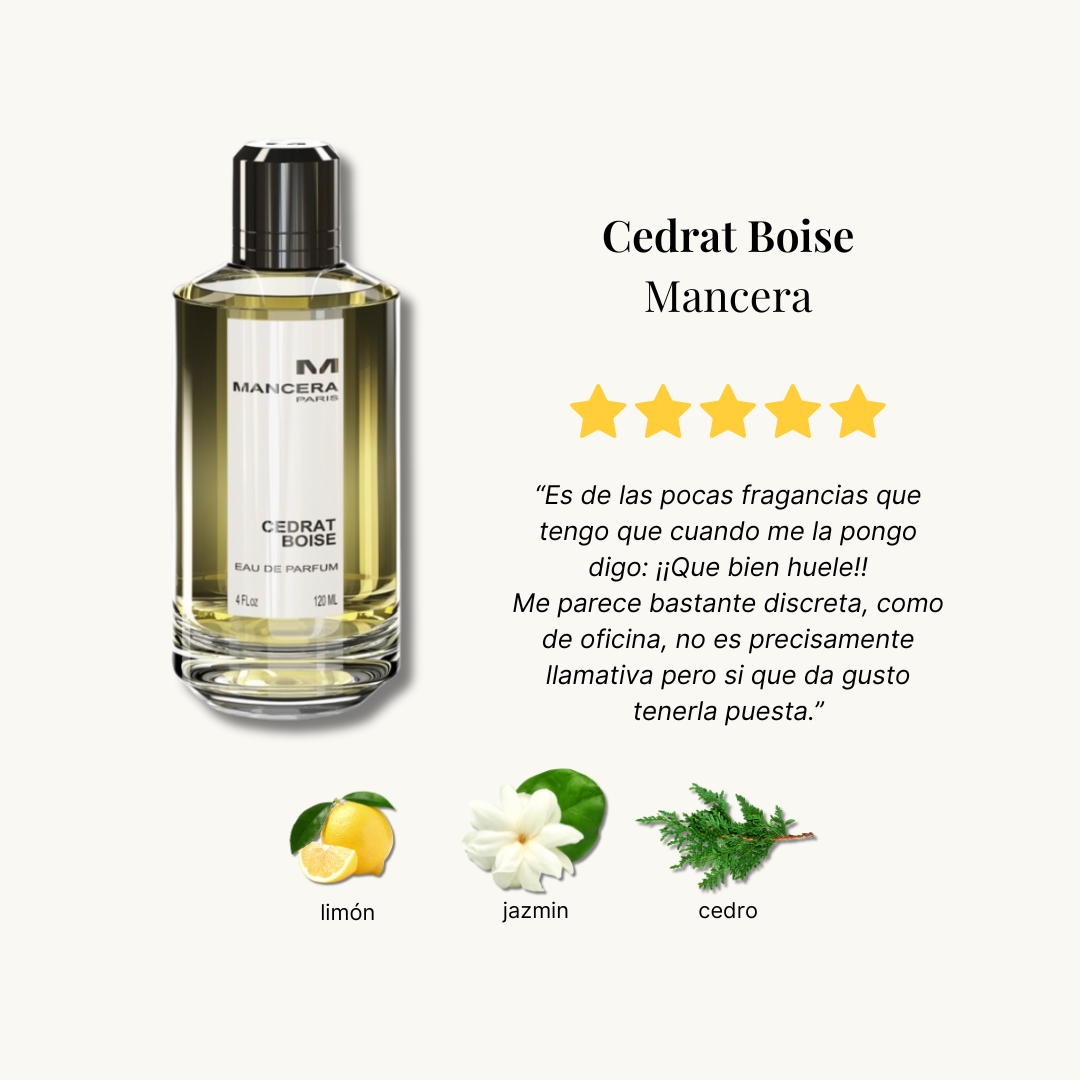 Everyday Essentials Discovery Set