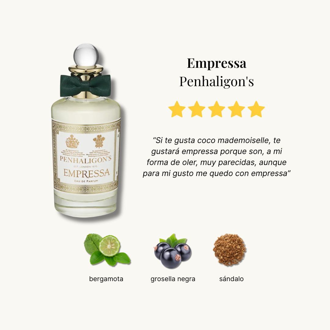 Set de descubrimiento de invierno