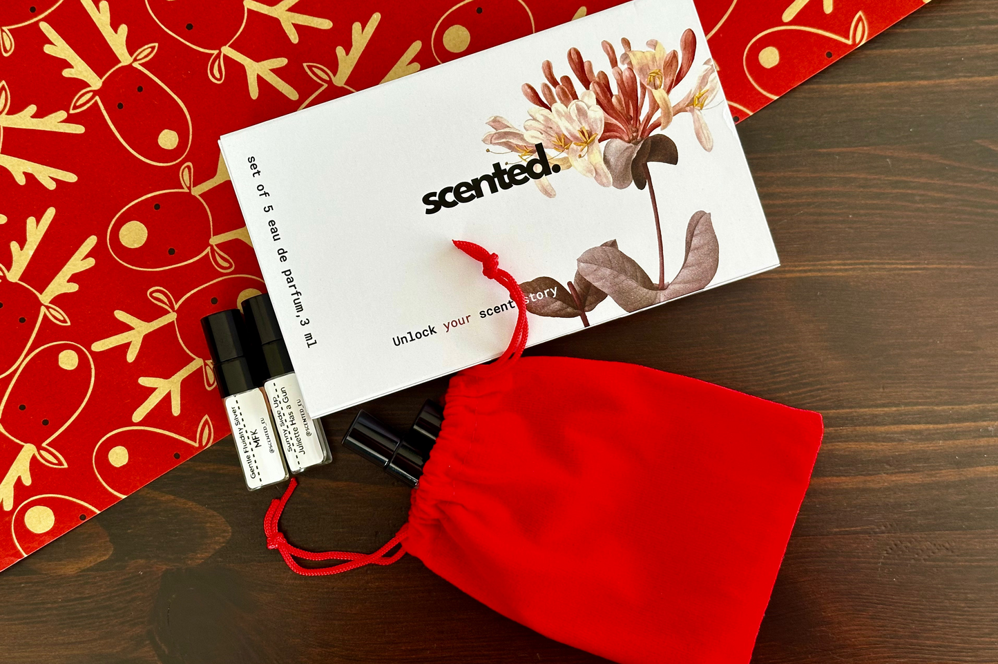 Set de descubrimiento de invierno