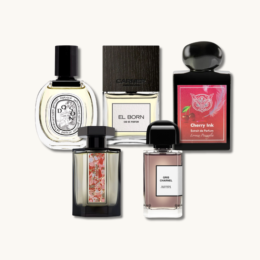 Autumn Discovery Set